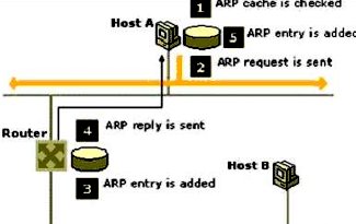 arp