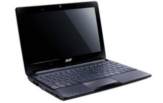 acer