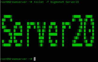 server20