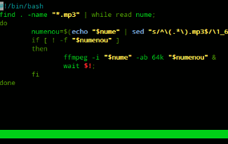 bash