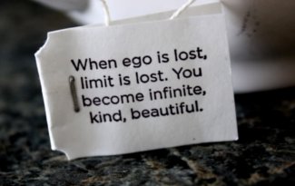ego