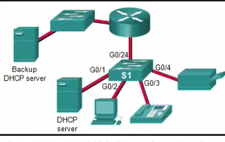 ccna31