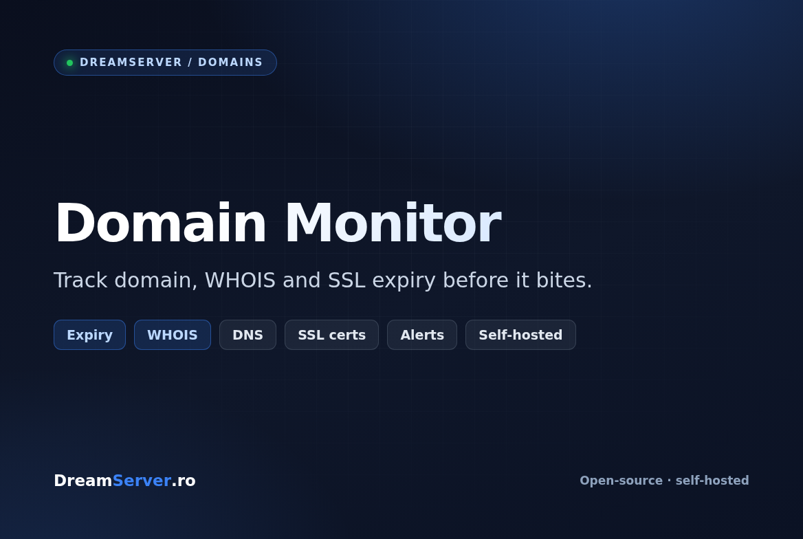 Domain Monitor dashboard listing domains and their expiry dates