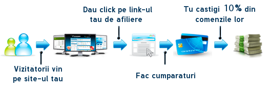 Cum functioneaza
